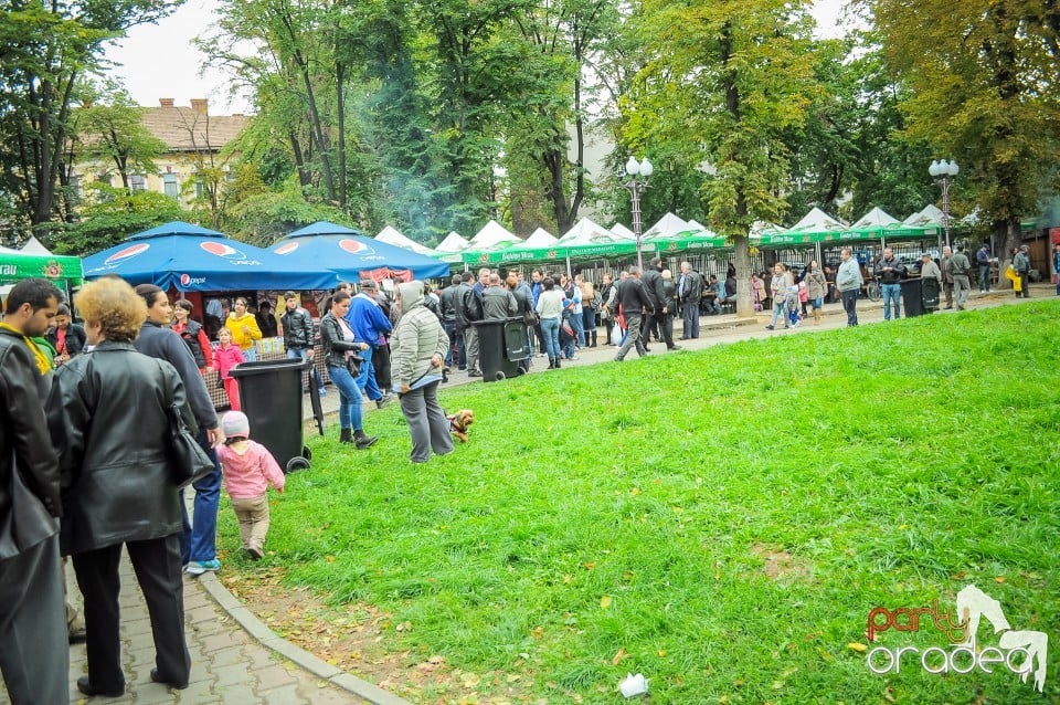 Targul Palincarilor, Oradea