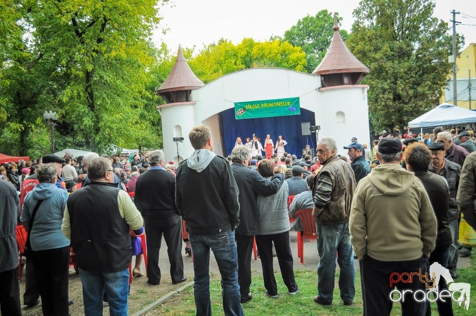 Targul Palincarilor, Oradea