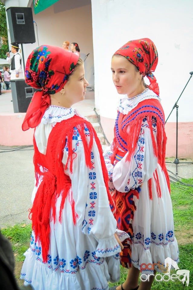 Targul Palincarilor, Oradea