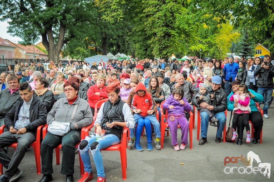 Targul Palincarilor, Oradea