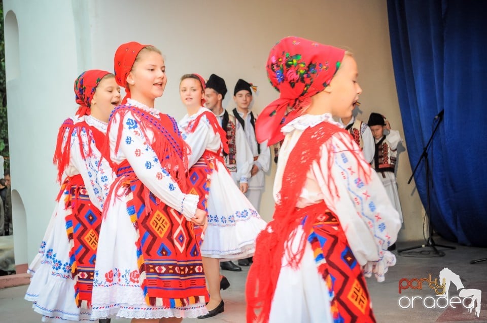 Targul Palincarilor, Oradea