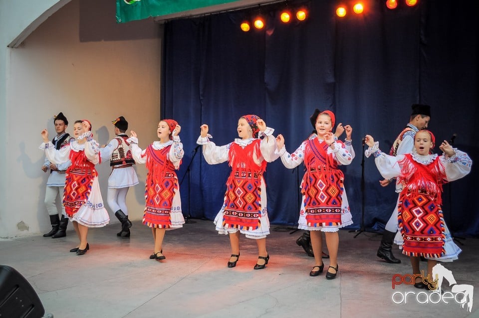 Targul Palincarilor, Oradea