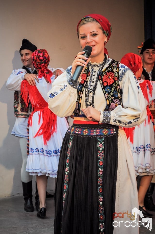 Targul Palincarilor, Oradea