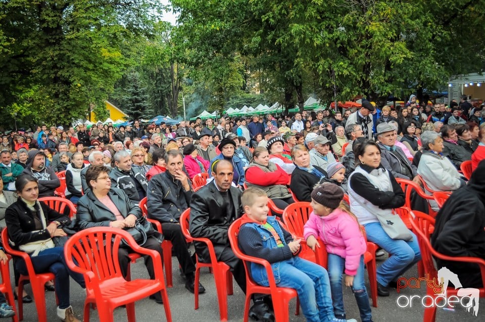 Targul Palincarilor, Oradea