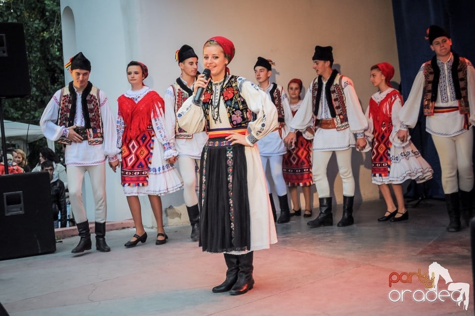 Targul Palincarilor, Oradea