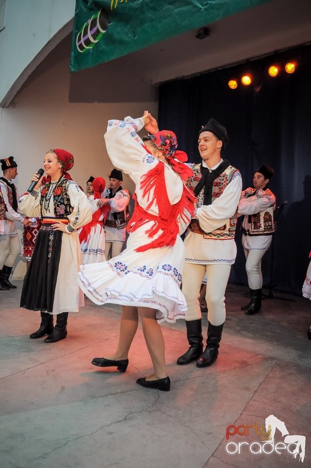 Targul Palincarilor, Oradea