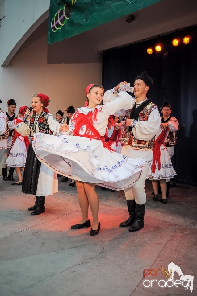 Targul Palincarilor, Oradea