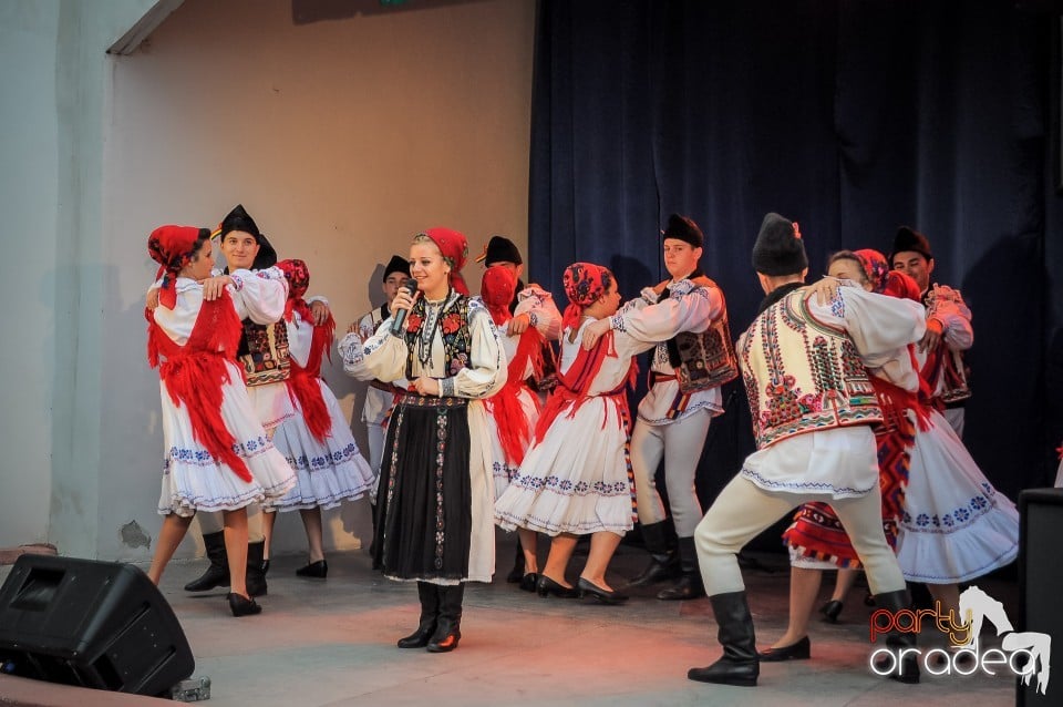 Targul Palincarilor, Oradea