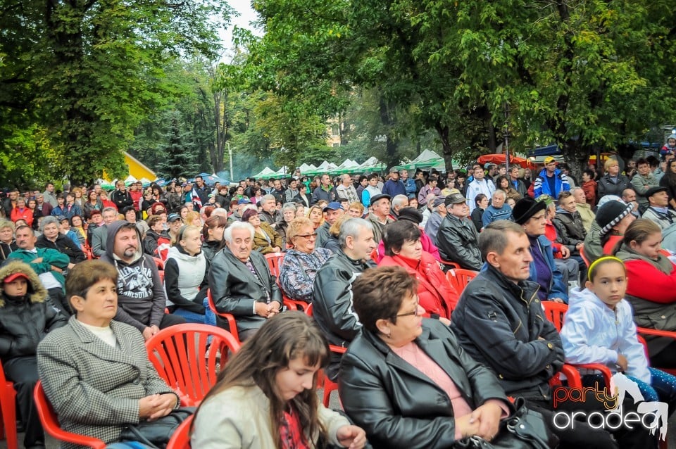 Targul Palincarilor, Oradea