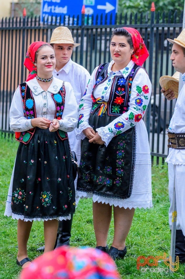 Târgul Pălincarilor, Oradea