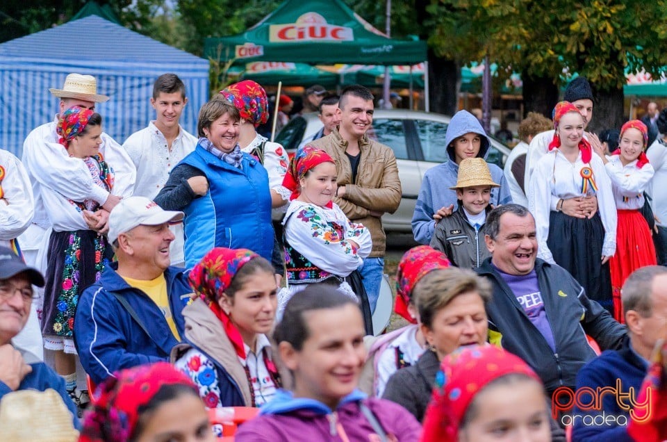 Târgul Pălincarilor, Oradea