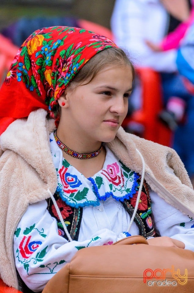 Târgul Pălincarilor, Oradea