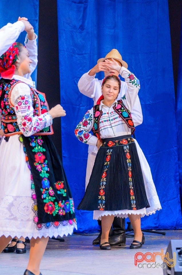 Târgul Pălincarilor, Oradea