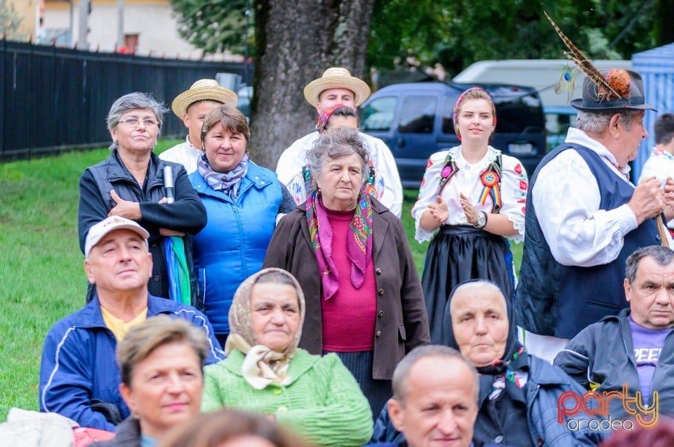 Târgul Pălincarilor, Oradea