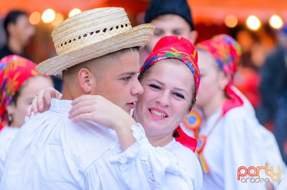 Târgul Pălincarilor, Oradea