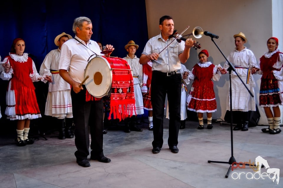 Targul Palincarilor, Oradea