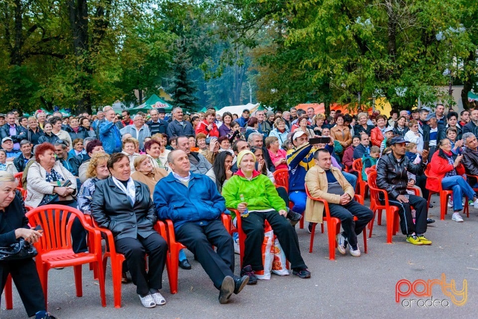 Târgul Pălincarilor, Oradea