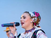 Târgul Pălincarilor