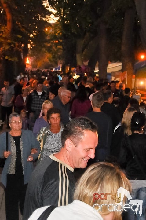 Târgul vinarilor şi pălincarilor - ziua 3,