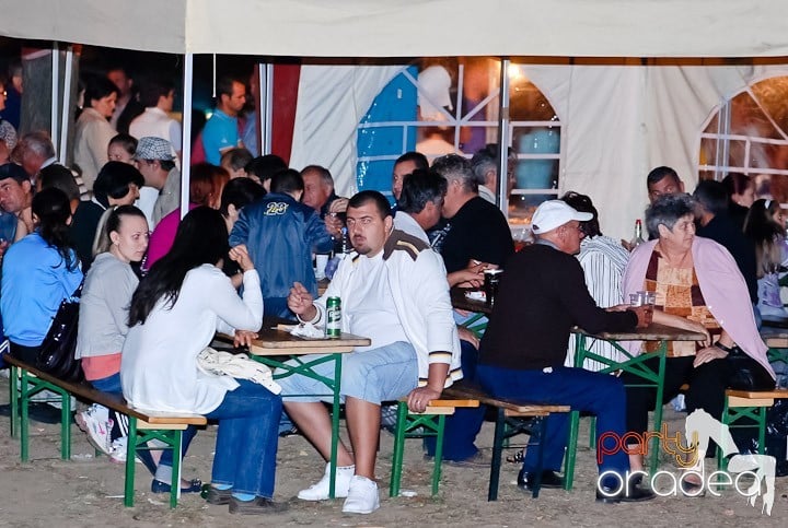 Târgul vinarilor şi pălincarilor - ziua 3,