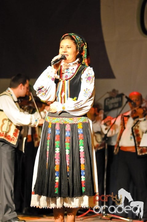 Târgul vinarilor şi pălincarilor - ziua 3,