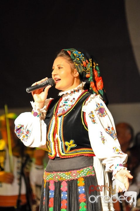 Târgul vinarilor şi pălincarilor - ziua 3,