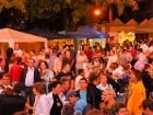 Târgul vinarilor şi pălincarilor - ziua 3