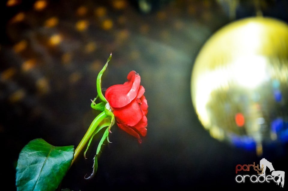 Thursday night party, 