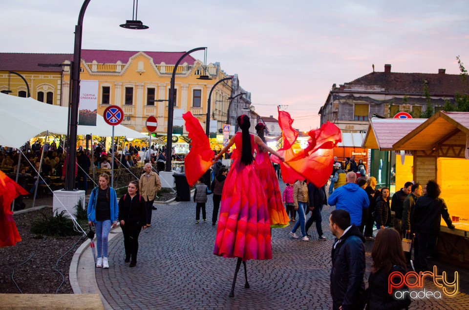 Toamna Orădeană 2017 | Ambianță, Oradea