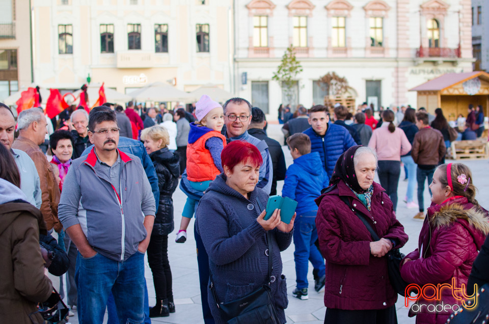 Toamna Orădeană 2017 | Ambianță, Oradea