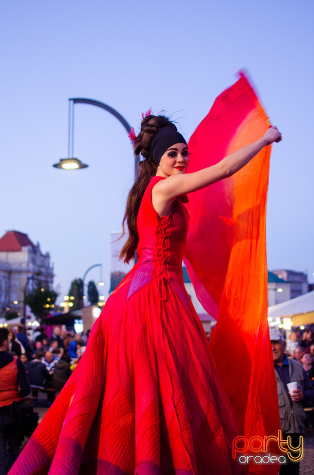 Toamna Orădeană 2017 | Ambianță, Oradea