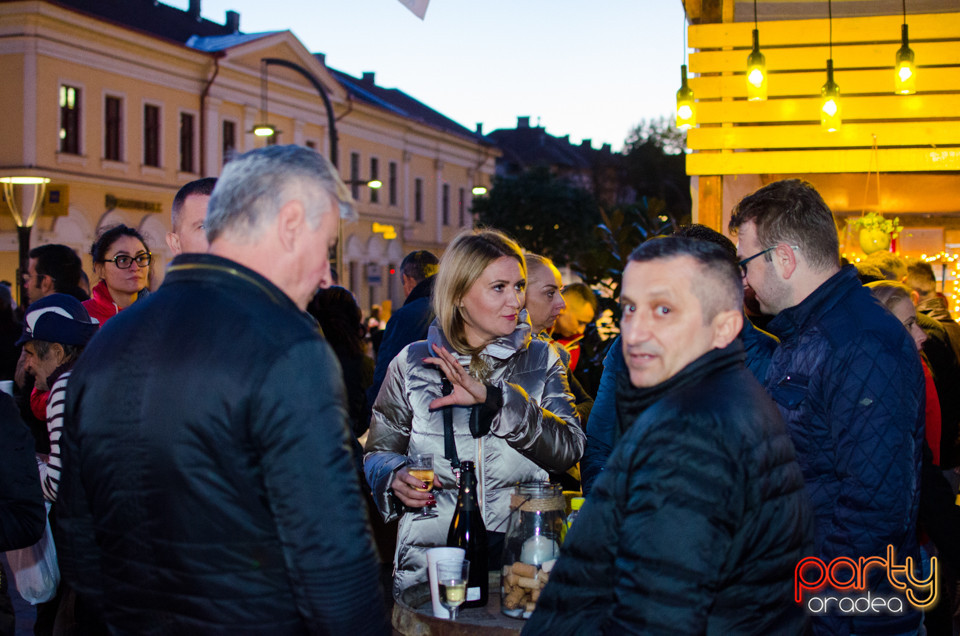 Toamna Orădeană 2017 | Ambianță, Oradea