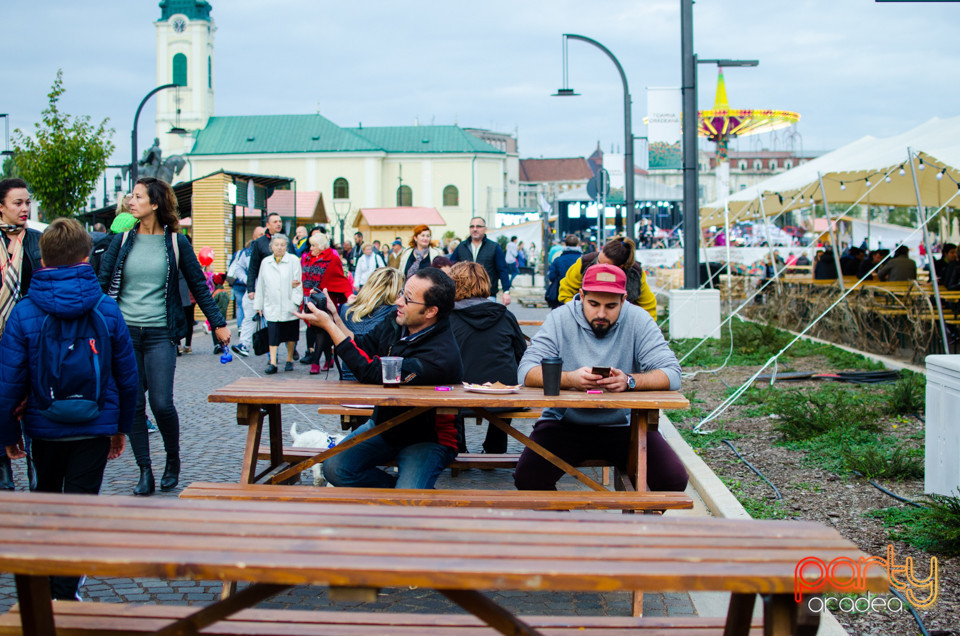 Toamna Orădeană 2017 | Ambianță, Oradea