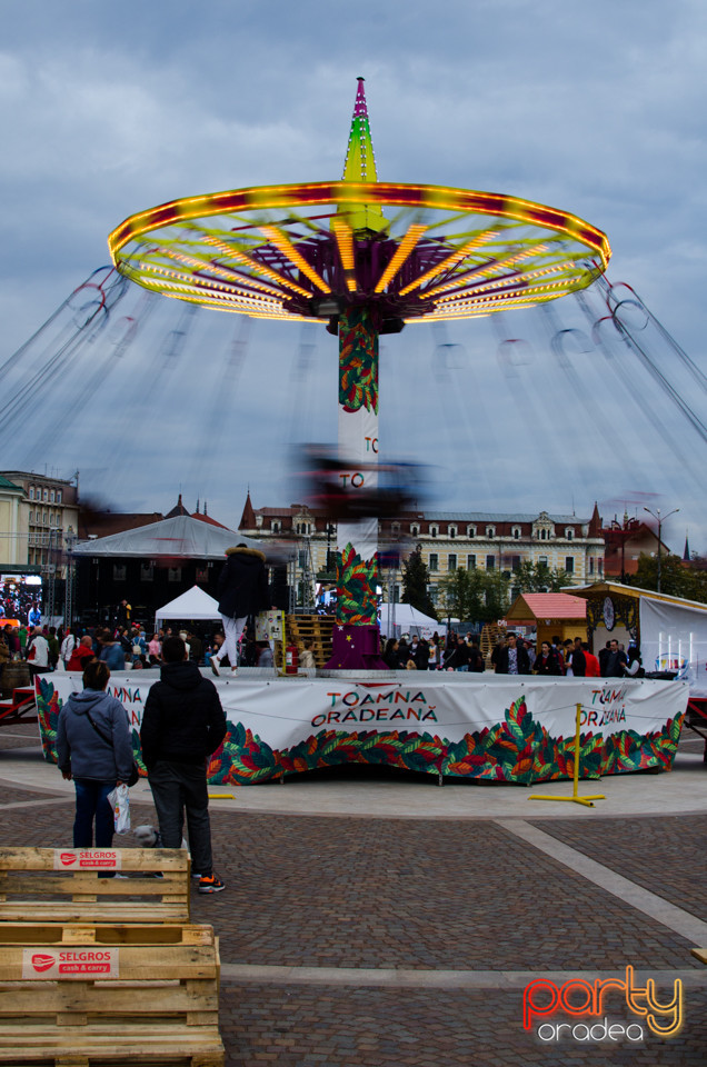 Toamna Orădeană 2017 | Ambianță, Oradea