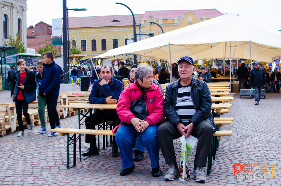 Toamna Orădeană 2017 | Ambianță, Oradea