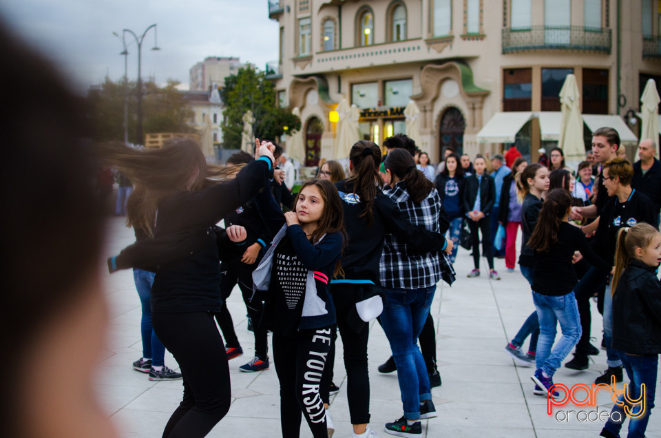 Toamna Orădeană 2017 | Ambianță, Oradea