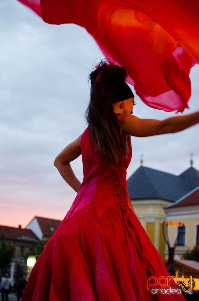 Toamna Orădeană 2017 | Ambianță, Oradea