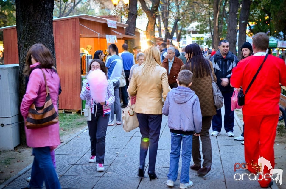 Toamna Orădeană: au început concertele,