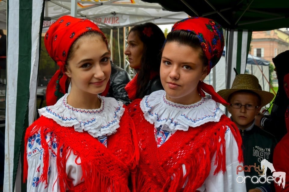 Toamna Orădeană - ultima zi,