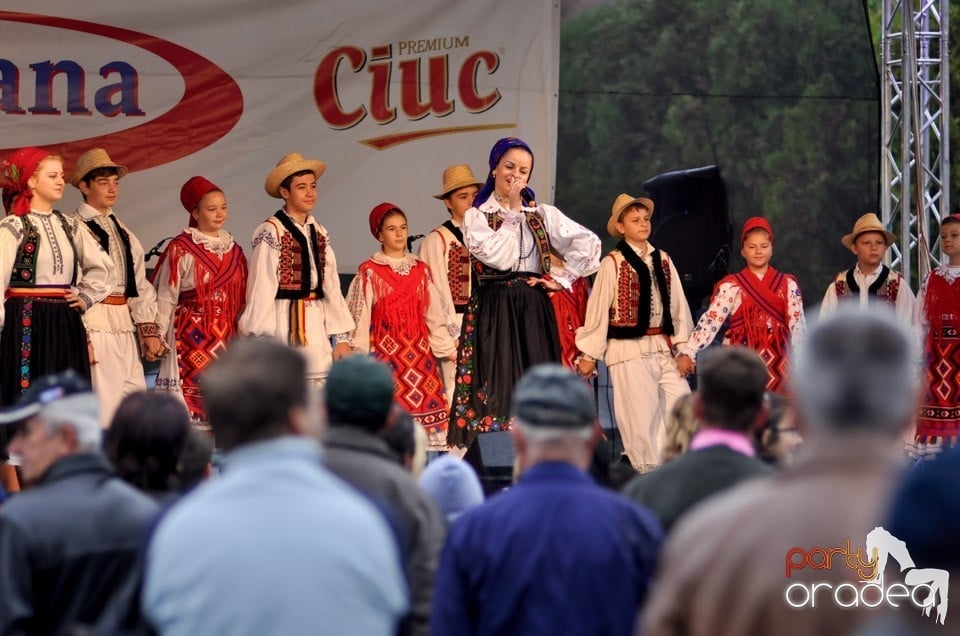 Toamna Orădeană - ultima zi,