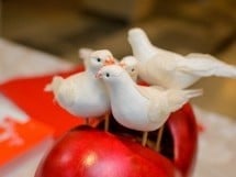 Valentine's Day la Hotel Termal