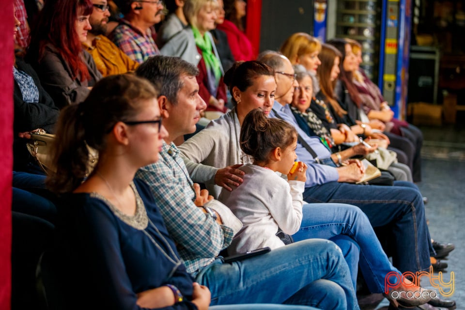 Vârful aisbergului, Teatrul Regina Maria