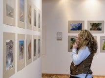 Vernisajul expoziţiei „Madeira, eternă primăvară”