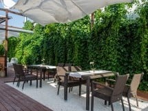 Vine Summer Garden & Grill