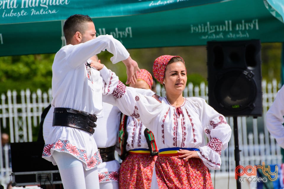 Voie bună la Ștrand Apollo-Felix, Ştrand Apollo-Felix