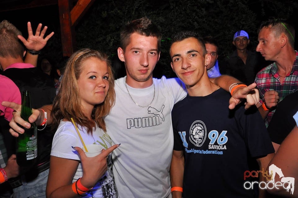 VV Party în Disco Faház,