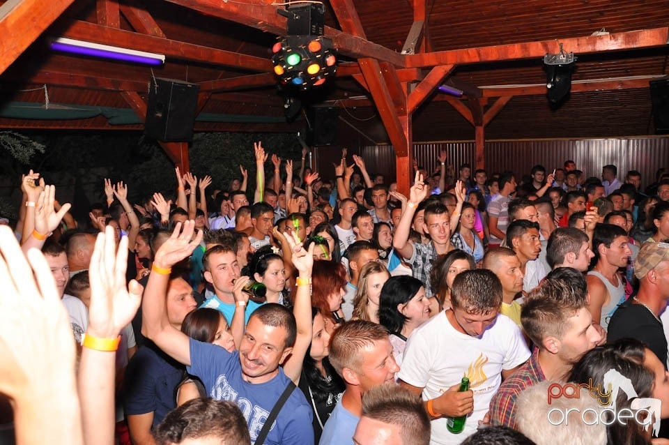 VV Party în Disco Faház,