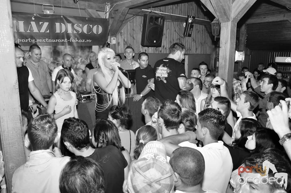 VV Party în Disco Faház,