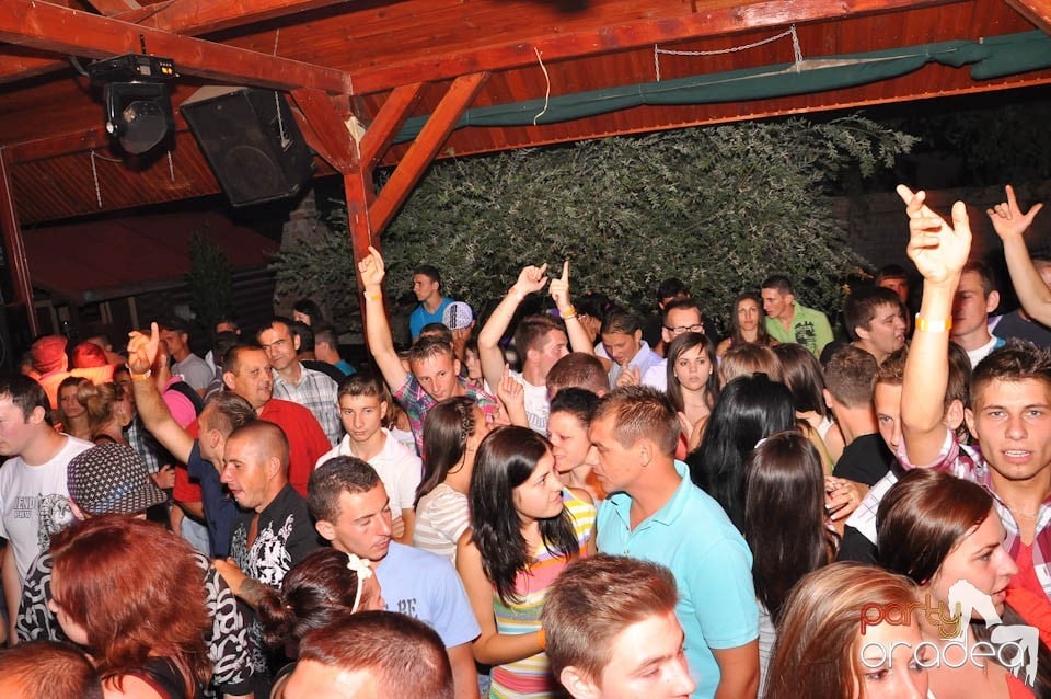 VV Party în Disco Faház,