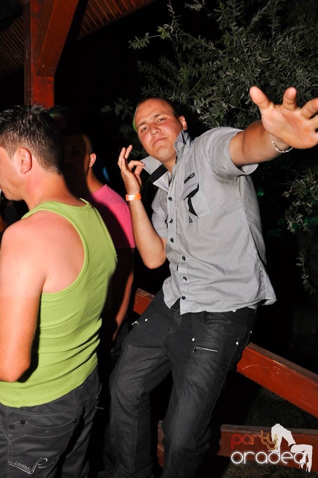 VV Party în Disco Faház,